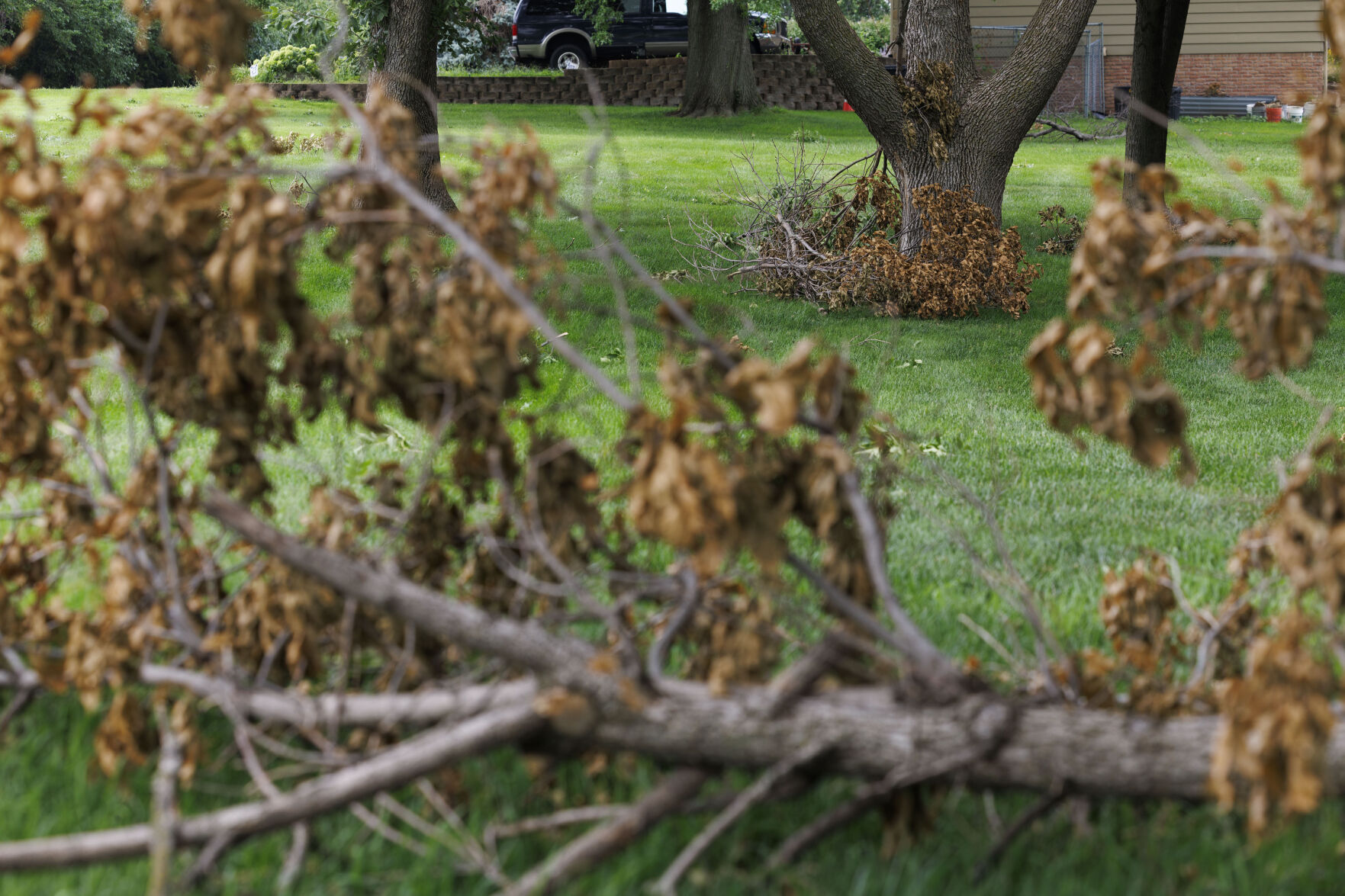 080925-owh-new-storm-mn-02.JPG